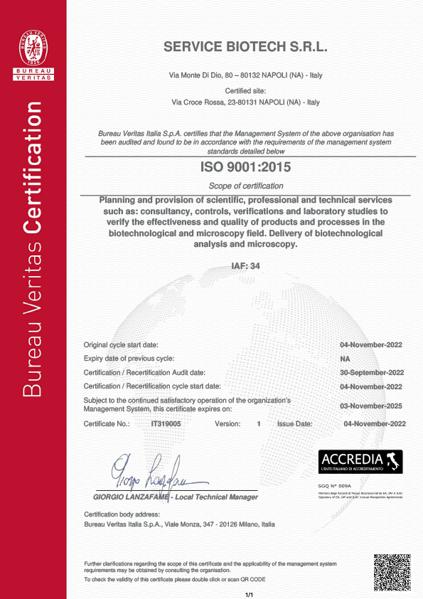 Certificate ACCREDIA ISO 9001:2015 no. IT319005