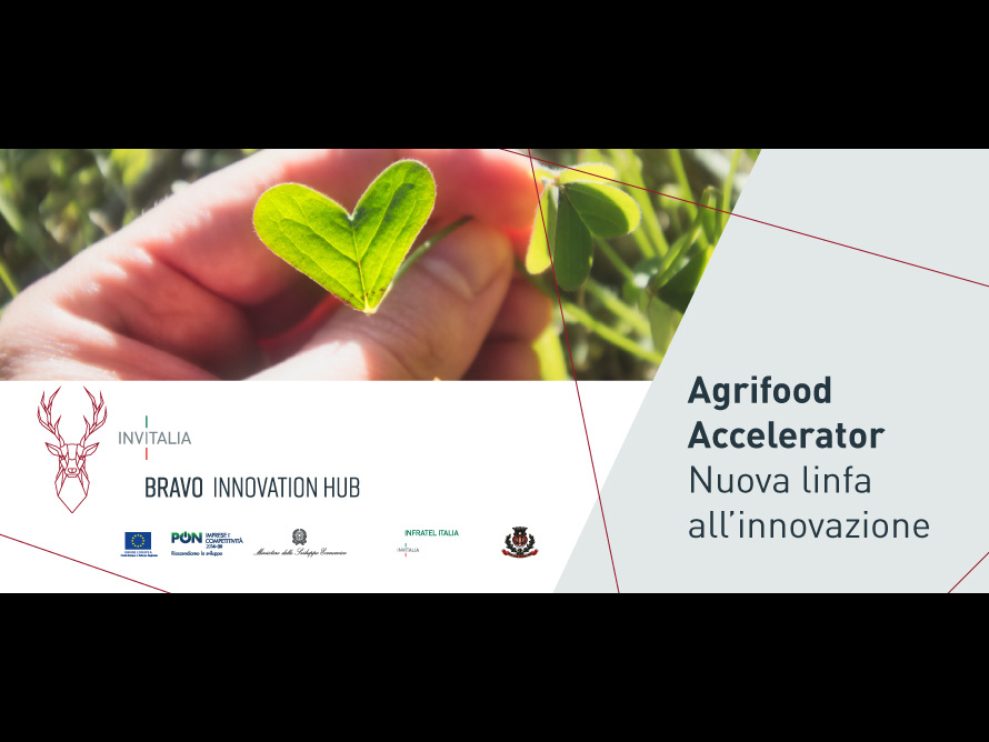 Agrifood di Bravo Innovation Hub